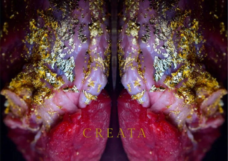 creata-_poster_page_1024x724_Φωτογραφία του Γιάννη Παππουτσή