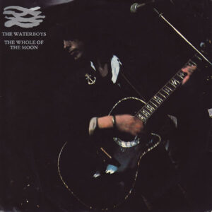 The Waterboys | ALL about THE WHOLE of the MOON