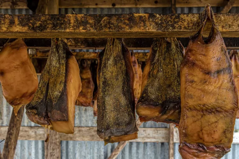 curious_delicacy_shark_hakarl_©shutterstock.jpg