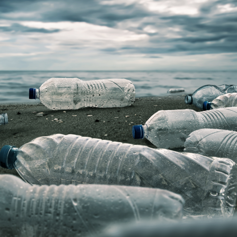 Plastic bottles pollution