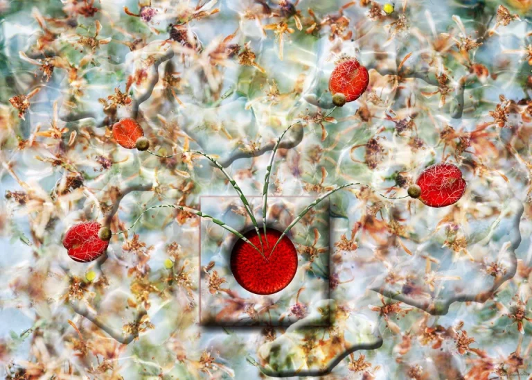 Ampariotou_print_06_jpg.jpg