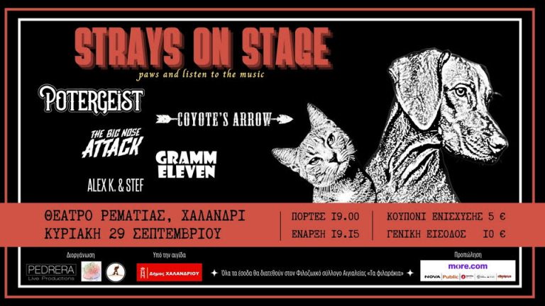 Strays on Stage | Συναυλία Ενίσχυσης Φιλοζωικού Συλλόγου Αιγιαλείας | 29.09.24, Θέατρο Ρεματιάς