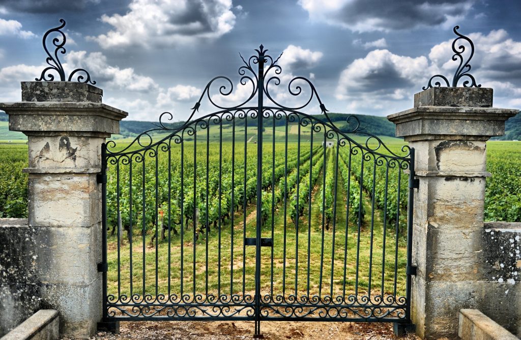 saint-emilion-vineyard