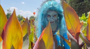 3ο Master Class Κινηματογράφου από τις Μορφές Έκφρασης 17 – 30 Ιουνίου 2025 Βοτανικός Κήπος Διομήδους | Χαϊδάρι