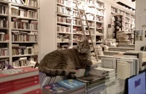 Επί Λέξει: Βιβλία με €2-10, λίγο πριν το κλείσιμο