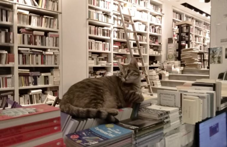 Επί Λέξει: Βιβλία με €2-10, λίγο πριν το κλείσιμο