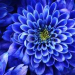 11dd27eee777d6b810396be98a92fce0 (2)