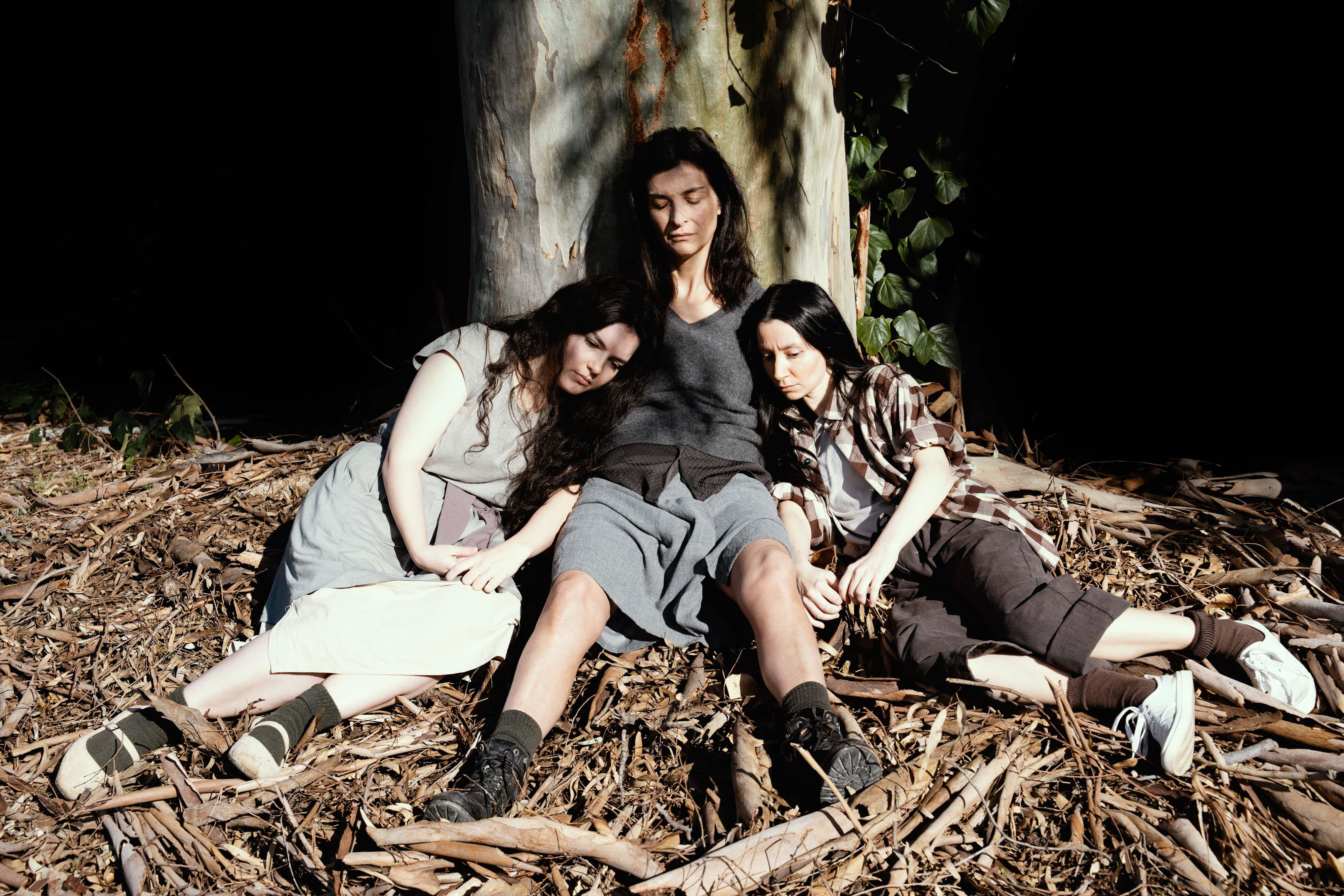 Το δέντρο που ματώνει του Άνγκους Τσερίνι από τις 23 Ιανουαρίου 2026 στο Θέατρο Αγγέλων Βήμα