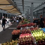 01198637ae1c3c7b93c075325f620ea7