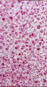 IMG_20260331_132652 (1)