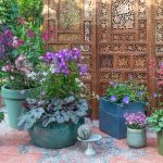 guide-for-geranium-4