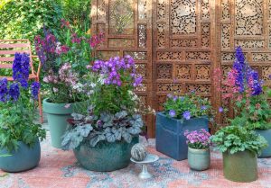 guide-for-geranium-4