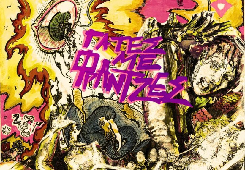 Φωτο Γάτες με Φράτζες